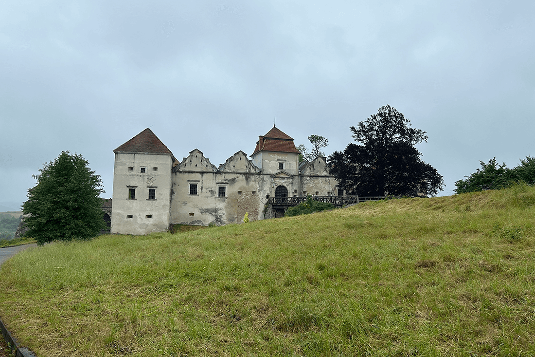 Свірзький замок